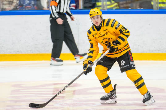 Skellefteås Axel Sandin Pellikka