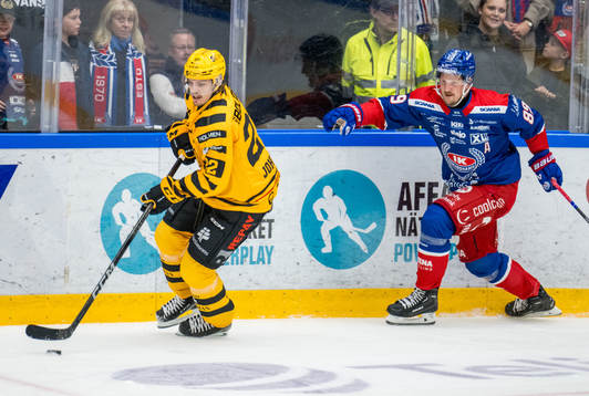 Skellefteås Jonathan Johnson och Oskarshamns Patrik