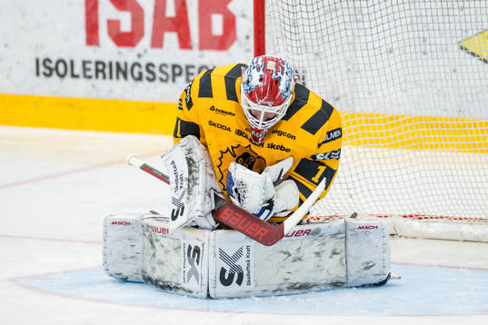Skellefteås målvakt David Rautio