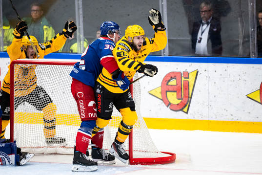Skellefteås Martins Dzierkals jublar