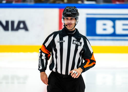 Domare Richard Magnusson
