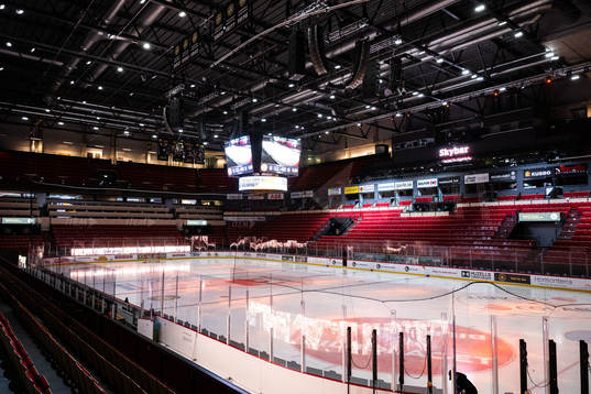 Monitor ERP Arena