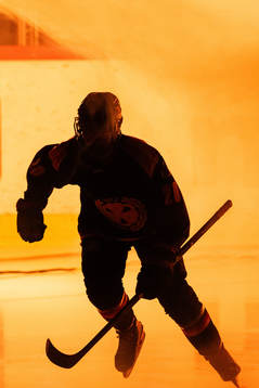 Brynäs Fanni Garát Gasparics gör entré
