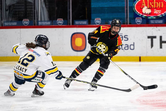 HV71s Eimear Leacy och Brynäs Sara Cajanova