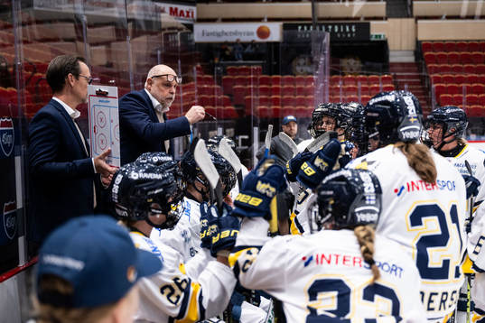 HV71s tränare Ulf Hall