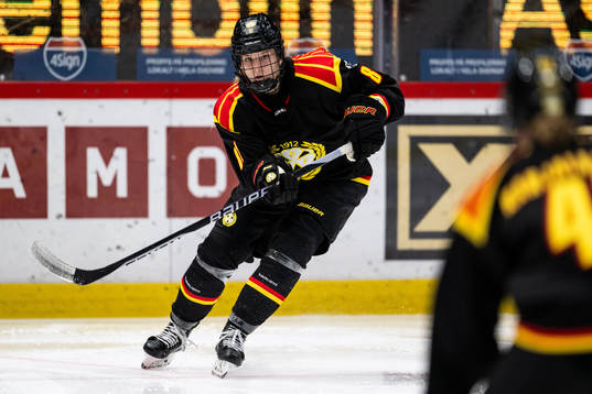 Brynäs Noemi Neubauerova