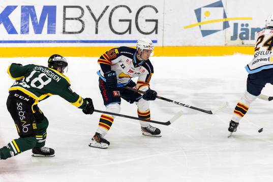 Djurgårdens David Blomgren