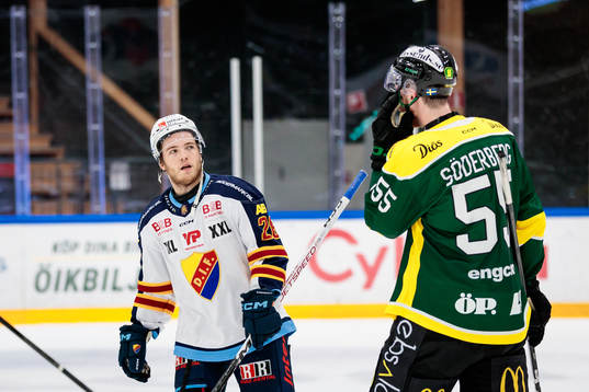 Djurgårdens Emil Berglund deppar