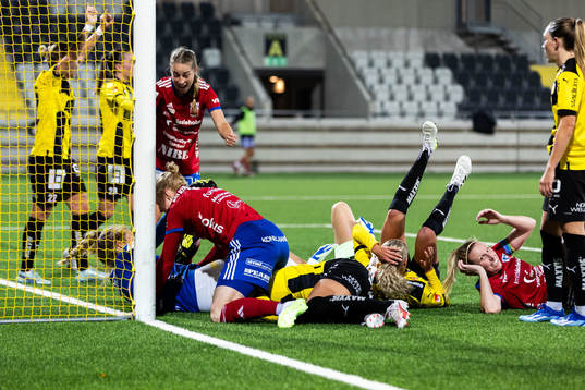 Vittsjös spelare jublar