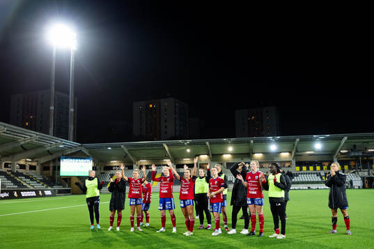 Vittsjös spelare jublar