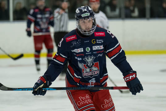 Åsedas Theo Papamichailidis