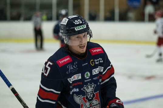 Åsedas Mike Larsson