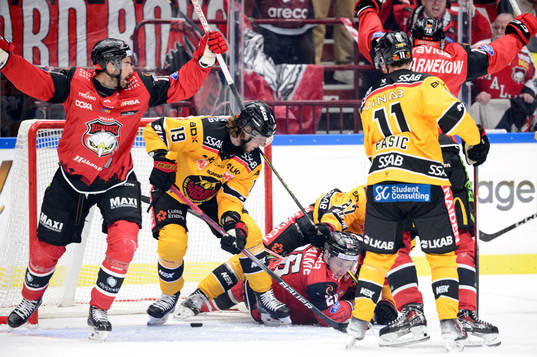 Malmö Redhawks spelare jublar