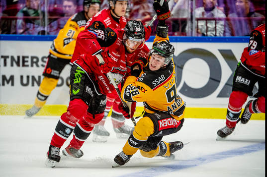 Malmö Redhawks Carl Persson mot Luleås Pontus Andreasson