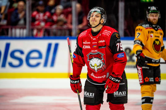 Malmö Redhawks Jakub Galvas deppar