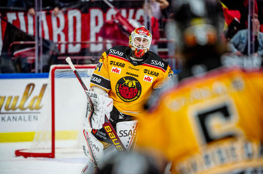 Luleås målvakt Joel Lassinantti jublar med lagkamraterna