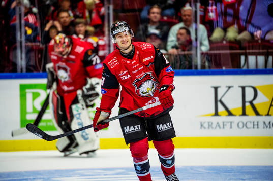 Malmö Redhawks Johan Olofsson deppar