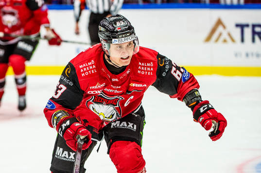 Malmö Redhawks Fredrik Händemark
