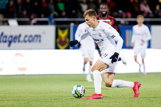 Helsingborgs Erik Ring