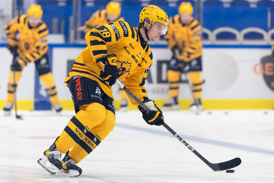 Skellefteås Elias Stenman
