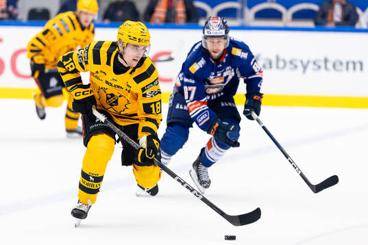 Skellefteås Elias Stenman