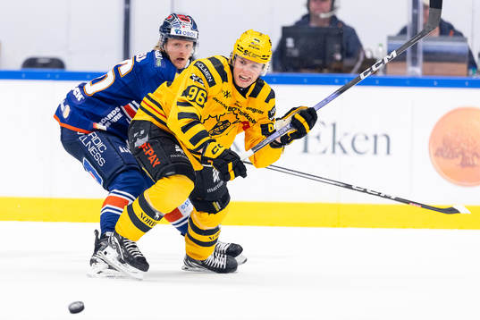 Växjös Joachim Blichfeld och Skellefteås Rickard Hugg