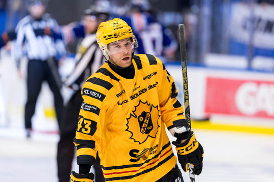 Skellefteås Filip Sandberg deppar