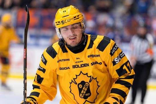 Skellefteås Max Lindholm deppar