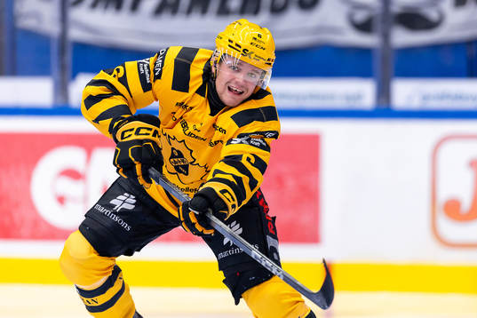 Skellefteås Måns Forsfjäll