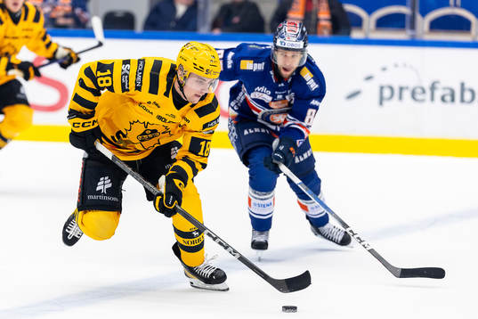 Skellefteås Elias Stenman