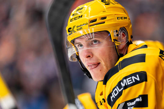 Skellefteås Rickard Hugg