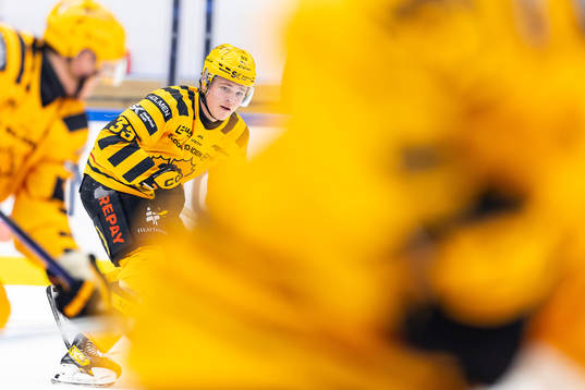 Skellefteås Zeb Forsfjäll