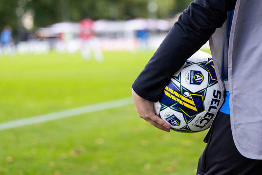 En fotboll