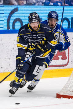 HV71s Anton Strålman