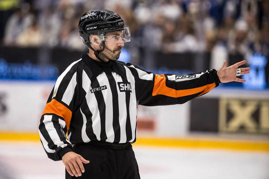 Domare Mattias Enroth