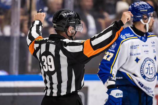 Domare Mattias Enroth