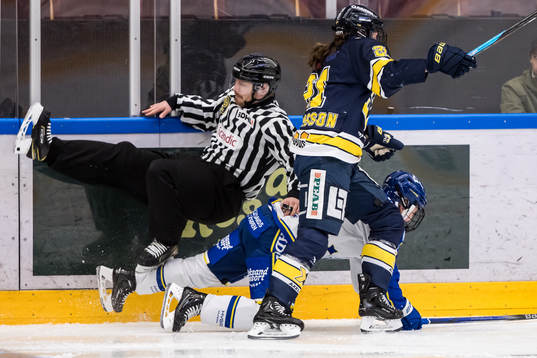 Linjedomare Axel Forsberg