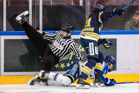 Linjedomare Axel Forsberg