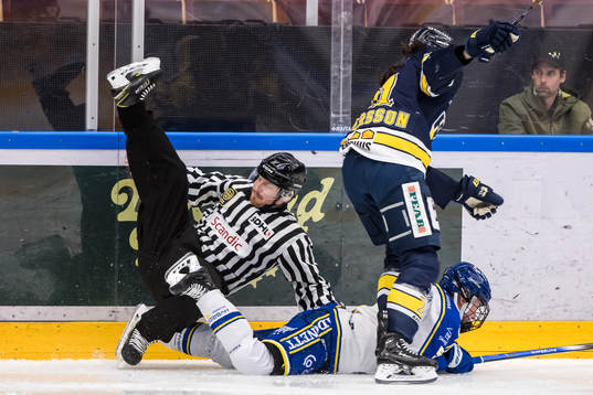 Linjedomare Axel Forsberg