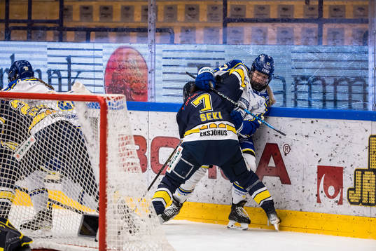 Leksands Agata Sarnovska