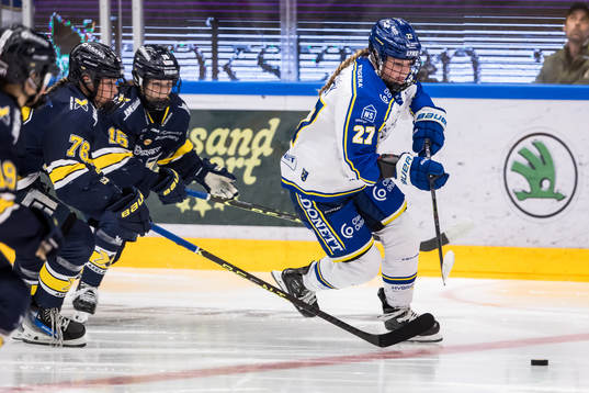 Leksands Shay Maloney