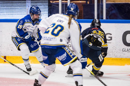 Leksands Ida Press