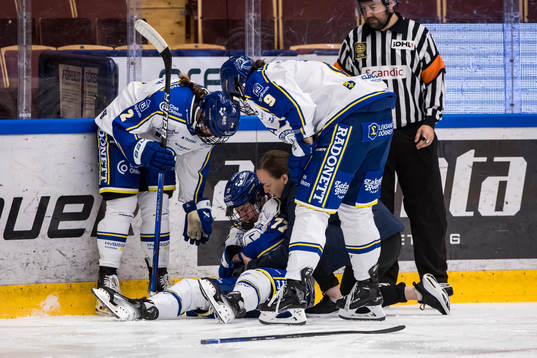 Leksands Tereza Radova skada