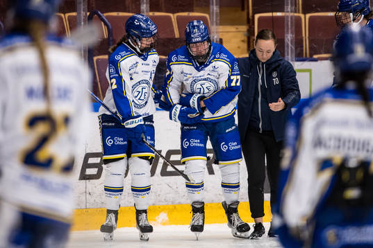 Leksands Tereza Radova skada
