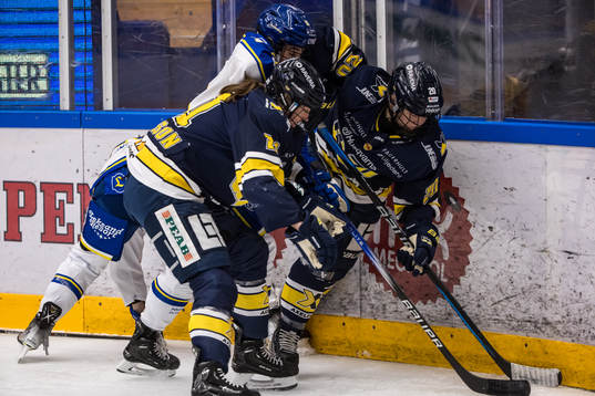 HV71s Emma Eriksson