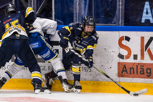 HV71s Hilda Svensson