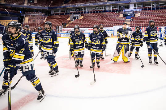 HV71s spelare jublar