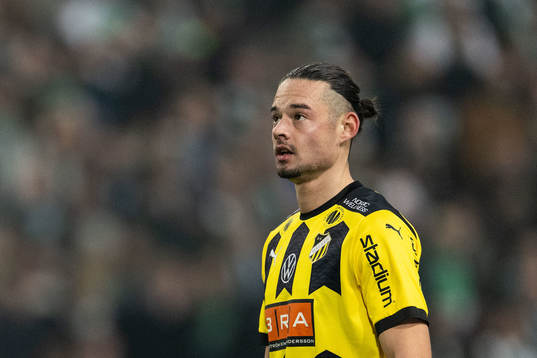 Häckens Amor Layouni
