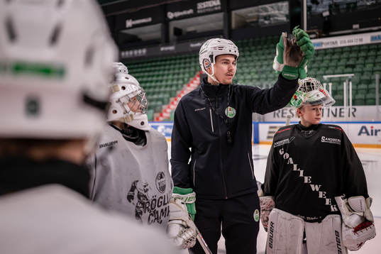 Ludvig Nilsson, Idrottspsykologisk rådgivare i ishockey
