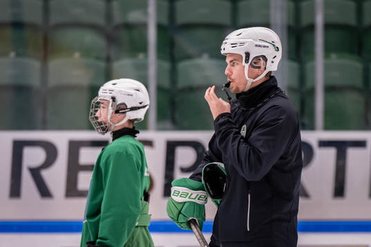 Ludvig Nilsson, Idrottspsykologisk rådgivare i ishockey